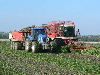 Herschaalde kopie van Afbeelding 525.jpg